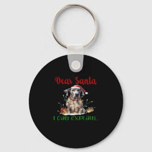 Dear Santa I Can Explain Great Dane Essential T-Sh Keychain