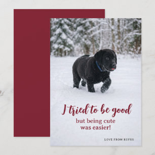 Dear Santa I Tried To Be Good Photo Holiday Card