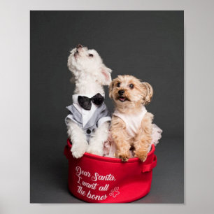 DEAR SANTA, I WANT ALL THE BONES  POSTER