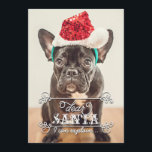 Dear Santa We Can Explain Holidays Photo Cards<br><div class="desc">Funny Christmas photo cards featuring your favourite photo. It reads "Dear Santa, I can explain... ". You can modify the text if you prefer to say "we can explain". Personalize it with your name, pet name or family name on the backside. You can customize the colour on the background. Illustrated...</div>