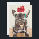 Dear Santa We Can Explain Holidays Photo Cards<br><div class="desc">Funny Christmas photo cards featuring your favourite photo. It reads "Dear Santa, I can explain... ". You can modify the text if you prefer to say "we can explain". Personalize it with your name, pet name or family name on the backside. You can customize the colour on the background. Illustrated...</div>