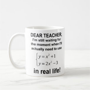 Dear Teacher Real Life Math Funny Mug