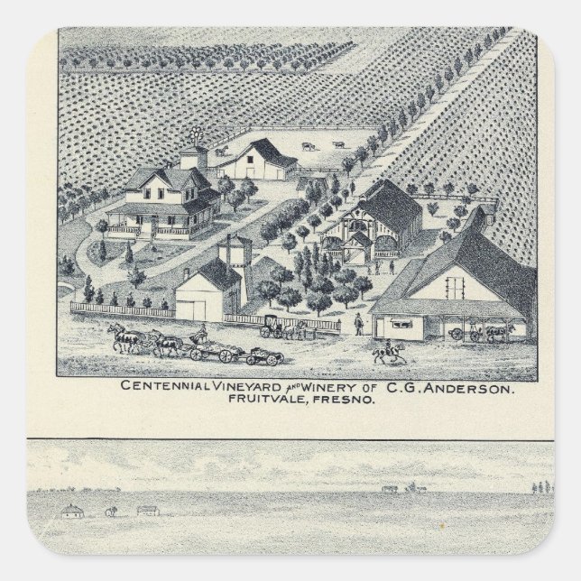 Deardorff and Centennial Vineyards, California Square Sticker (Front)