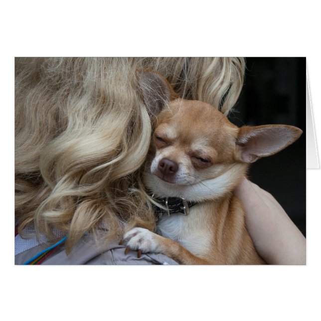 Dearly Beloved (Front Horizontal)