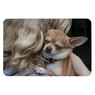 Dearly Beloved Magnet