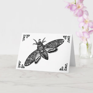 Death Head Moth Vintage Illustration Greeting Card