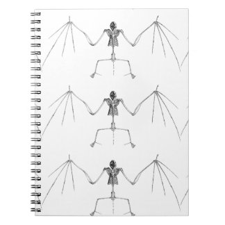 Death note notebook