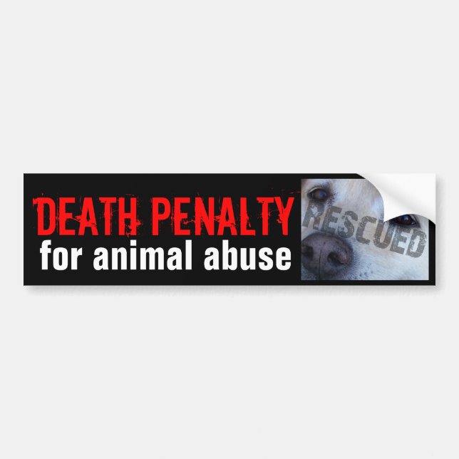 DEATH PENALTY FOR ANIMAL ABUSE bumpersticker Bumpe Bumper Sticker (Front)