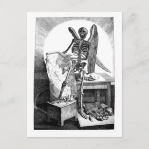 Death Studies Mans Anatomy postcard