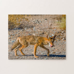Death Valley Desert Fox. Jigsaw Puzzle