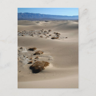 Death Valley Dunes 3 Postcard