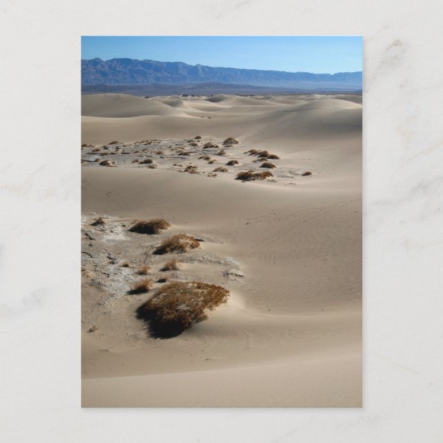 Death Valley Dunes 3 Postcard (Front)
