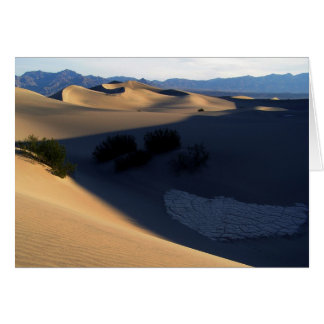 Death Valley Morning Dunes Blank Card