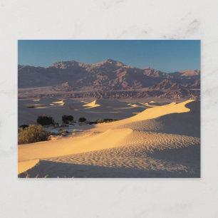 Death Valley National Monument , California Postcard
