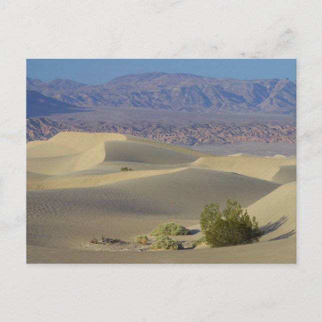 Death Valley Postcard (Front)