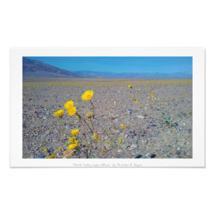 "Death Valley Super Bloom," Nature Photo Print