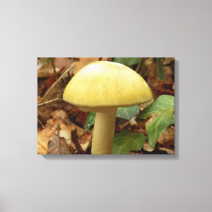 Deathcap Mushroom Canvas Print