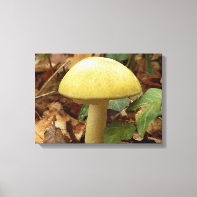 Deathcap Mushroom Canvas Print (Front)