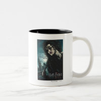Deathly Hallows - Bellatrix Lestrange 2