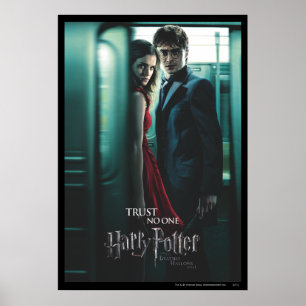 Deathly Hallows - Harry and Hermione Poster