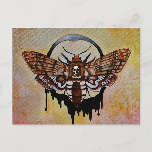 Death's Head Hawk Moth Postcard (Front)