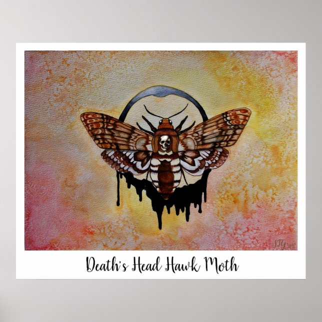 Death's Head Hawk Moth Poster (Front)