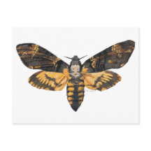 Death's Head Moth Postcard