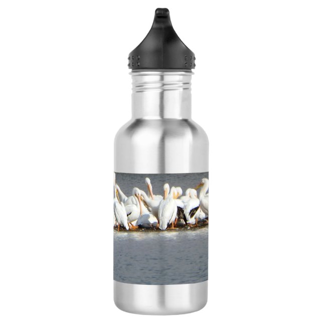 D'eau Bouteille d'eau, troupeau des pélicans (Droite)