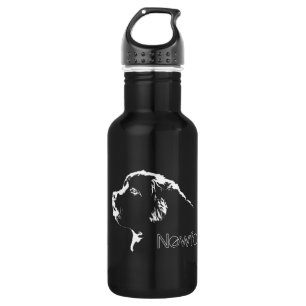 D'eau En Acier Inoxydable Terre-Neuve Bouteille sportive