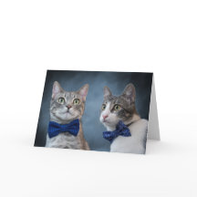 Debonair Cats in Bowties