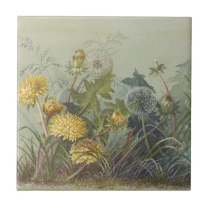 Deborah Griscom Passmore Watercolor Album Pl.60 Tile