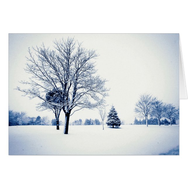 Debout Dans La Neige (Devant horizontal)