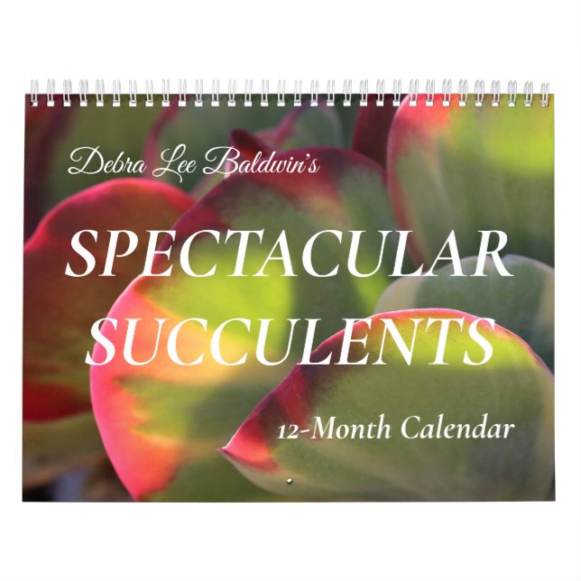 Debra Lee Baldwin's Spectacular Succulents 12-mo Calendar (Cover)