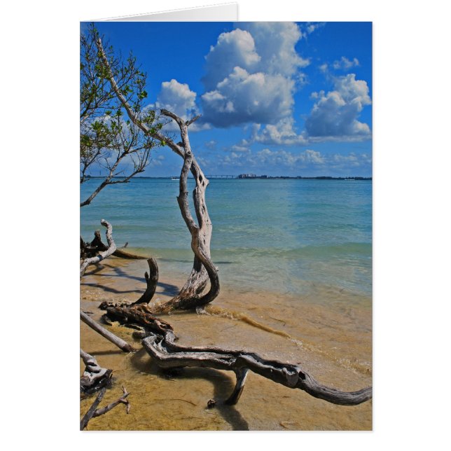 Debris to Blind Pass (Front)