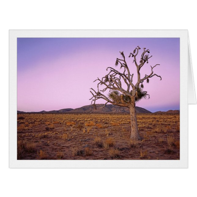 " Décalage géométrique " (Devant horizontal)