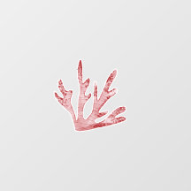 La barrière De Corail Sous Les Murs À Thème Mer