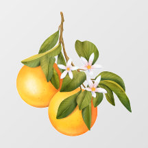 Oranges et Fleurs sur un Marché de Branche