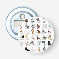 36 races de pigeons