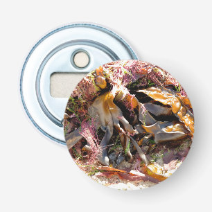 DÉCAPSULEUR ALGUE MARINE