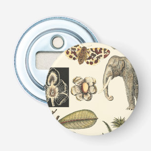 Décapsuleur Animaux assortis peints sur l'arrière - plan crème