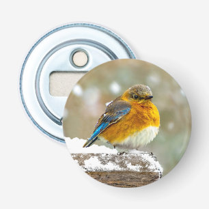 Décapsuleur Bleuet de l'Est en neige - Photo originale