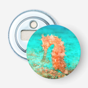 Décapsuleur Caraibe tropicale caraïbe turquoise orange