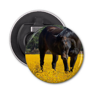 Décapsuleur Cheval de baie dans un champ de fleurs jaunes