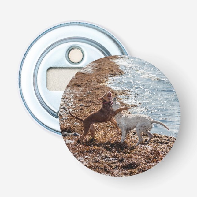 Décapsuleur Chiens sur la plage (Devant)