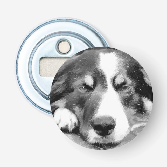 DÉCAPSULEUR COLLIE FRONTALIÈRE (Devant)