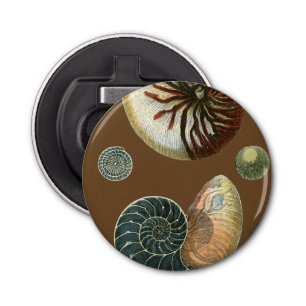 Décapsuleur Coque de cacao