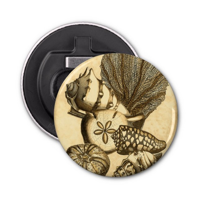 Décapsuleur Coquilles neutres et collection de corail (Devant)