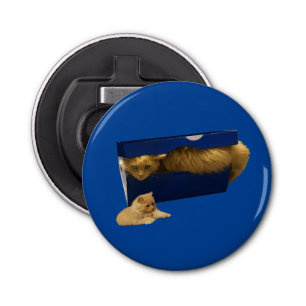 Décapsuleur "Cosy Hideaway : The Ginger Cat in the Shoe Box"