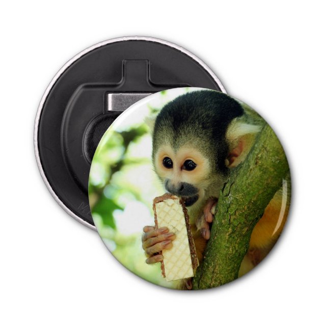Décapsuleur Cute Baby Squerrl Monkey Eating a Wafer Biscuit (Devant)