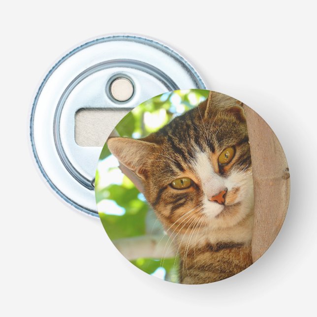 Décapsuleur Cute Escalade de chat un arbre (Devant)
